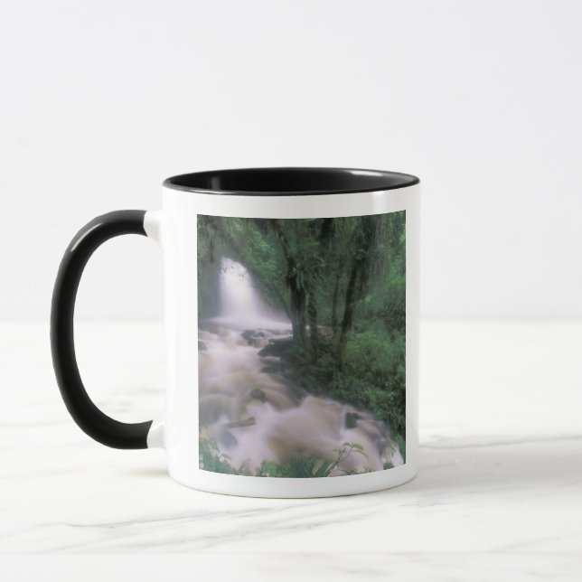 SA, Peru, S.H. Machu Picchu, Kaskade und Wolke Tasse (Links)