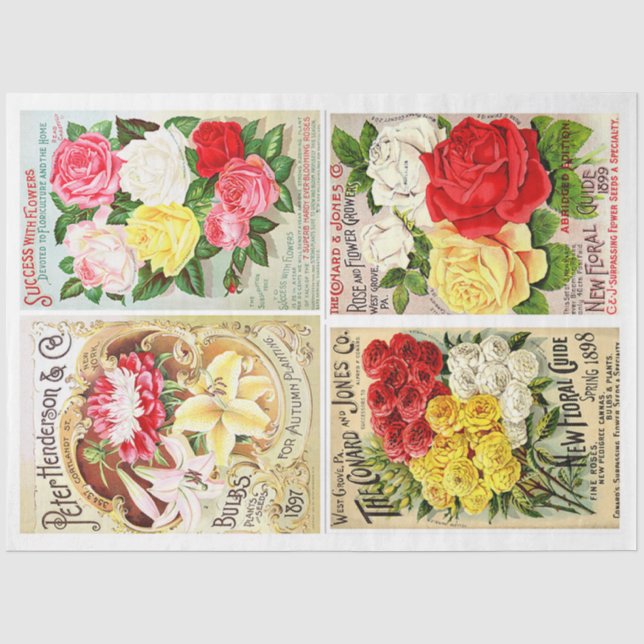 Saatgutpackungen für Blume Seidenpapier (Vorderseite)