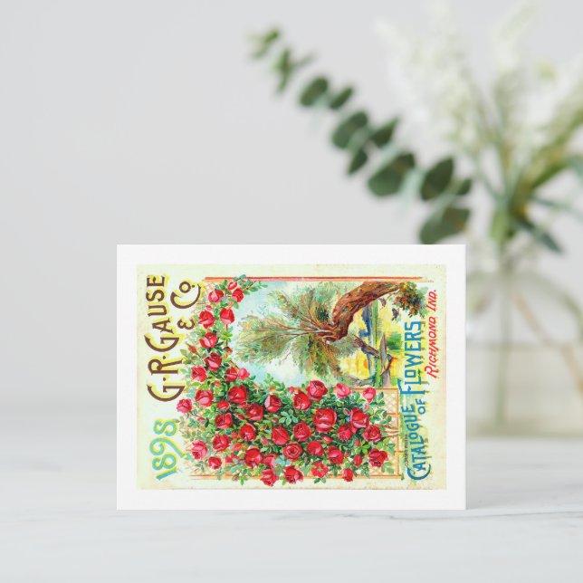 Saatgutpackungen. Postkarte (Stehend Vorderseite)