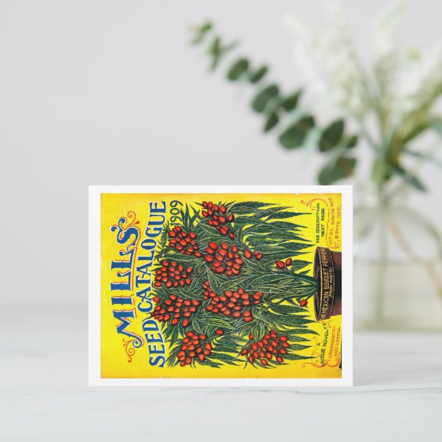 Saatgutpackungen. Postkarte (Stehend Vorderseite)