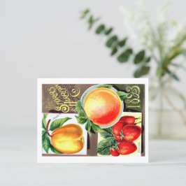 Saatgutpackungen. Postkarte