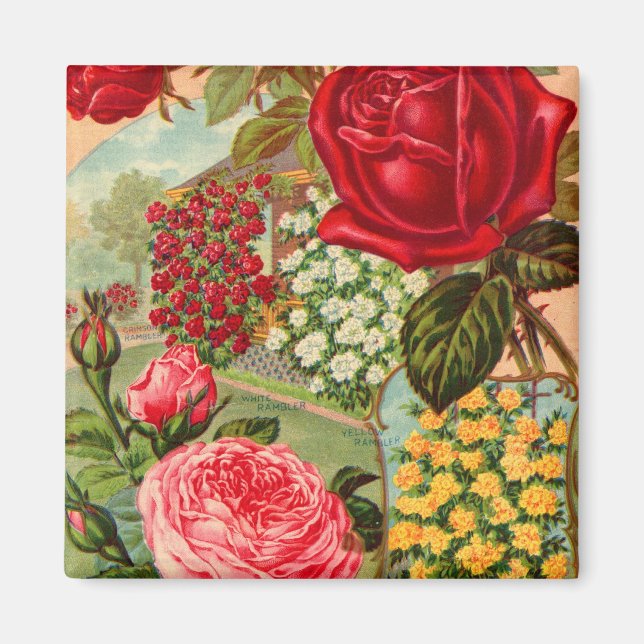 Saatkatalog 12 Magnet (Vorne)