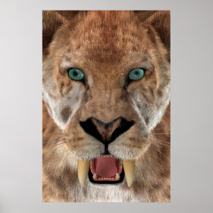 Säbeltoothed Ttiger oder Smilodon Poster