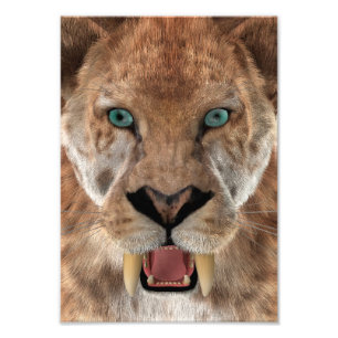 Säbelzahn-Ttiger oder Smilodon Fotodruck