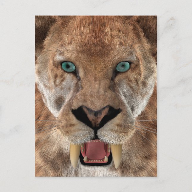Säbelzahn-Ttiger oder Smilodon Postkarte (Vorderseite)