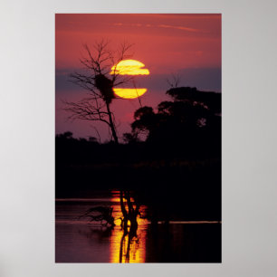 Sabi Fluss bei Sonnenuntergang, Kruger-Nationalpar Poster
