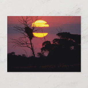 Sabi Fluss bei Sonnenuntergang, Kruger-Nationalpar Postkarte