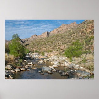 Sabino Canyon Abend Poster