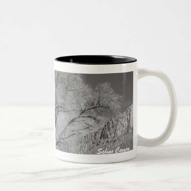 Sabino Canyon Acropolis Ridge B/W Mug (Droit)
