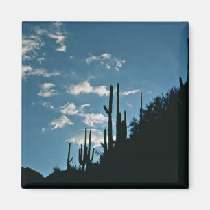 Sabino Canyon, Arizona Magnet