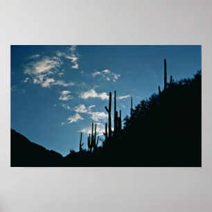 Sabino Canyon, Arizona Poster
