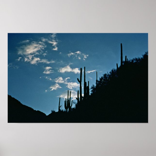 Sabino Canyon, Arizona Poster (Vorne)