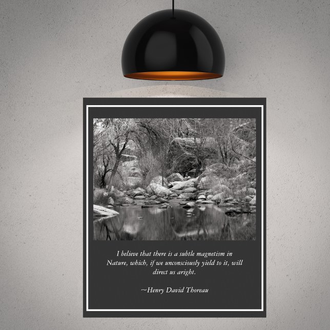 Sabino Canyon Creek Winter Szene Poster (Von Creator hochgeladen)