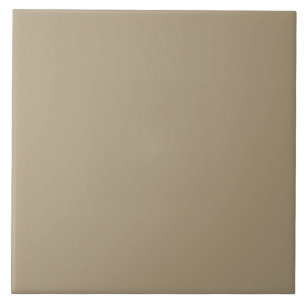 Sable Beige ae9b7d Carreaux en céramique