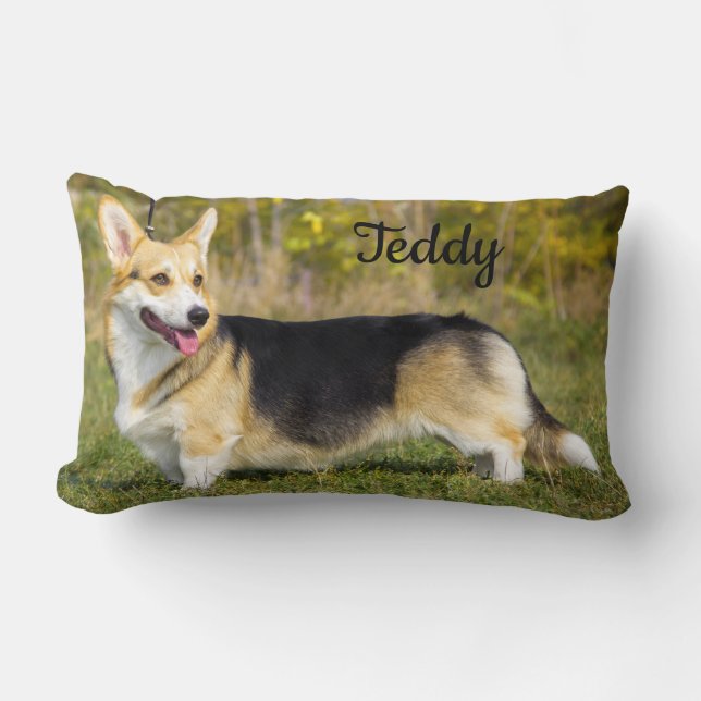 Sable Cardigan Welsh Corgi Dog Lendenkissen (Vorderseite)