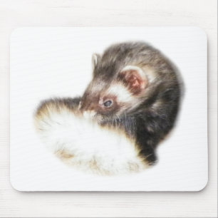 Sable Ferret Picture Mousepad