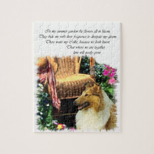 Sable-rauer Collie, wo Liebe wächst