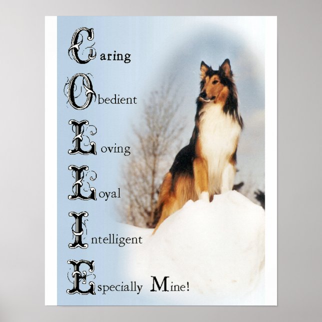 Sable Rough Collie Geschenke Poster (Vorne)
