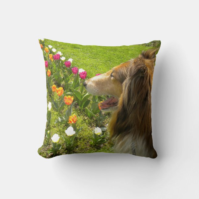 Sable Rough Collie und Tulips Kissen (Vorderseite)