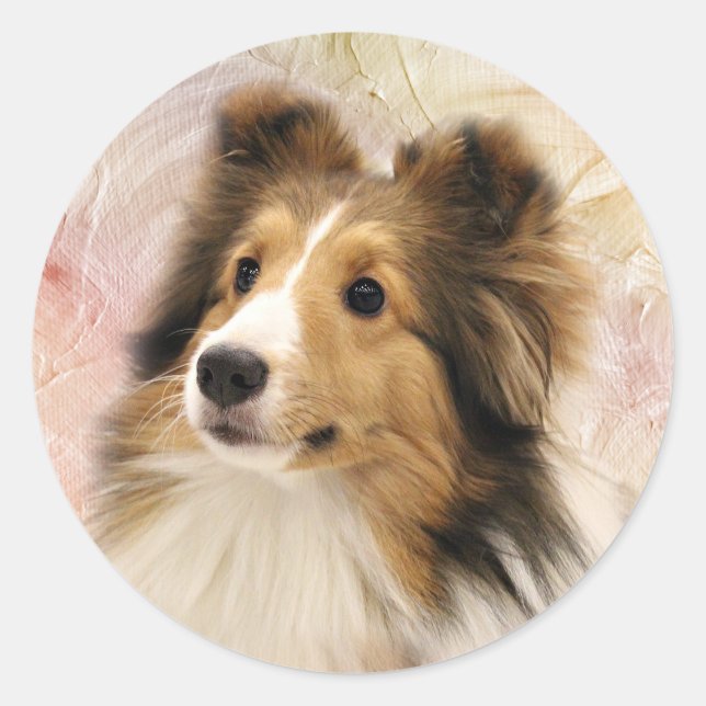 Sable Shelter face Runder Aufkleber (Vorderseite)