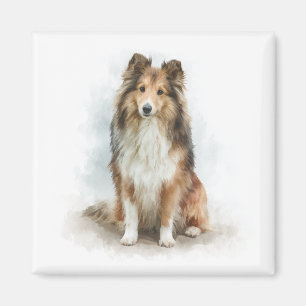 Sable Shetland Sheepdog Aquarell-Kunst Magnet