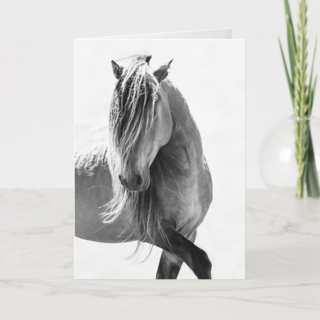 Sable Stallion Stolz - Grußkarten für Wildpferde Karte (Vorderseite)