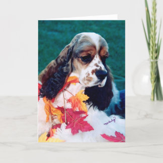Sable white Cocker Spanel Karte