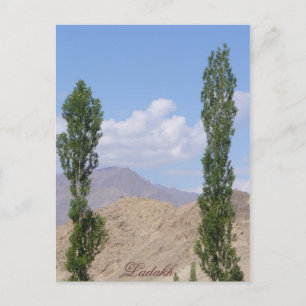 Saboo Ayu. Ladakh, India Postkarte