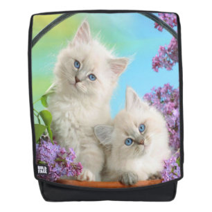 Sac À Dos Chatons