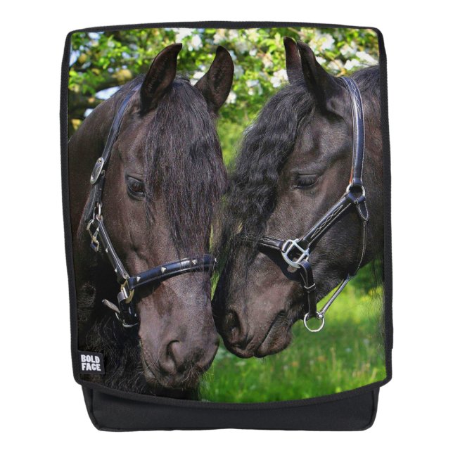 Sac À Dos Chevaux (Devant)