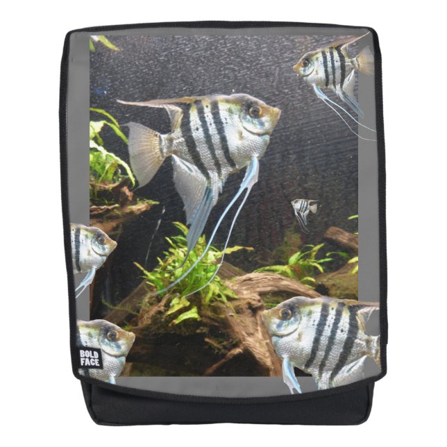Sac à dos de poisson à rayures tropicales (Devant)