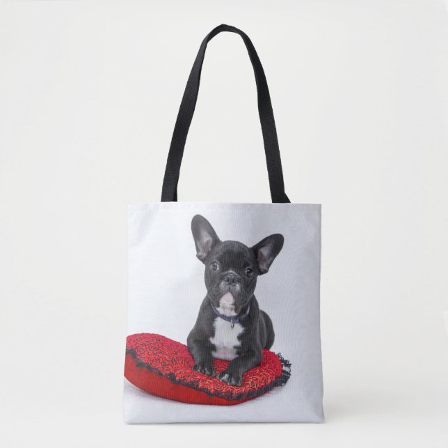 sac à dos français (Devant)