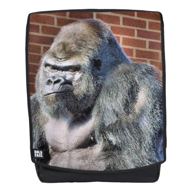 SAC À DOS GORILLA (Devant)