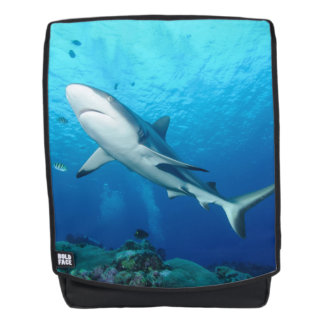 Sac À Dos Grand requin blanc