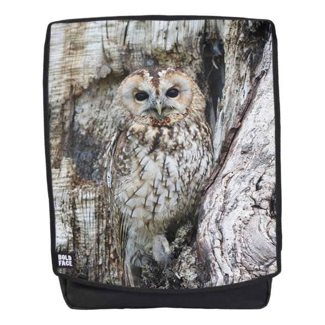 Sac À Dos Hibou (Devant)