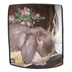 Sac À Dos Lapin de Pâques dans un panier