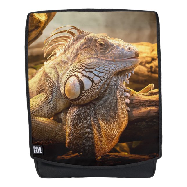 Sac À Dos Lézard (Devant)