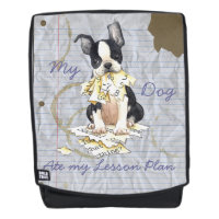 Mon Boston Terrier a mangé mon plan de cours