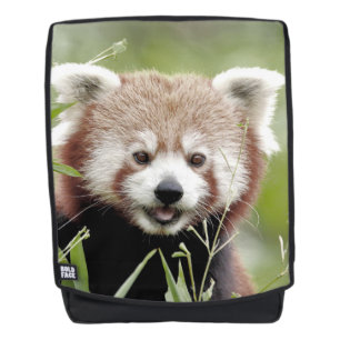 Sac à dos. Photo panda rouge. Sac à dos