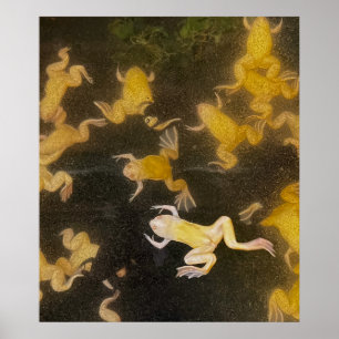 Sac à dos POSTER photo science grenouilles natatio