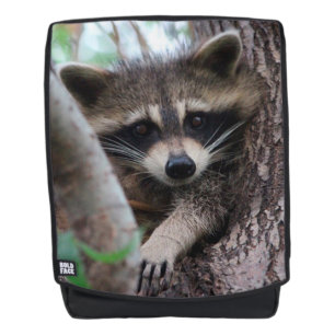 Sac À Dos Raton laveur