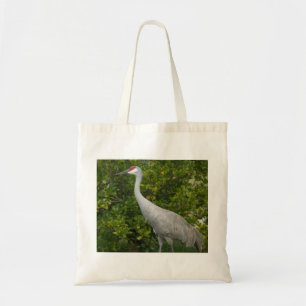 Sac à grêle de Sandhill