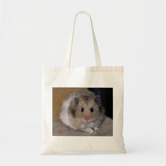 Sac à lanière (Devant)