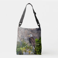 Aigle bald assis sur le rocher