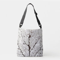 Aspen Feuille Squelette 1