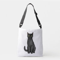chat noir
