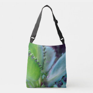 Sac Ajustable Couleurs de Kalochoe