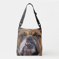 Coussin de jet de Bouledogue Anglais