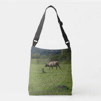 Kodiak Alaska Bull Elk Horns Antler Design photo