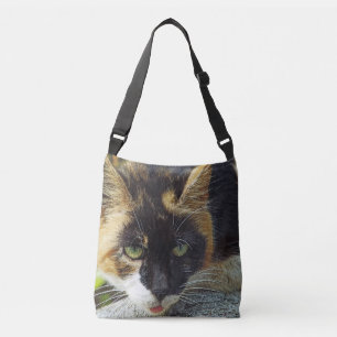 SAC AJUSTABLE MEOW ! LT.CHAT BROWN, NOIR ET VERT BLANC"